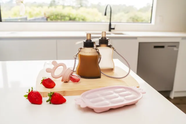 pack-alimentation-b-b-haakaa-fresh-food-feeder-nibble-tray-2-pochettes-sangle image 1