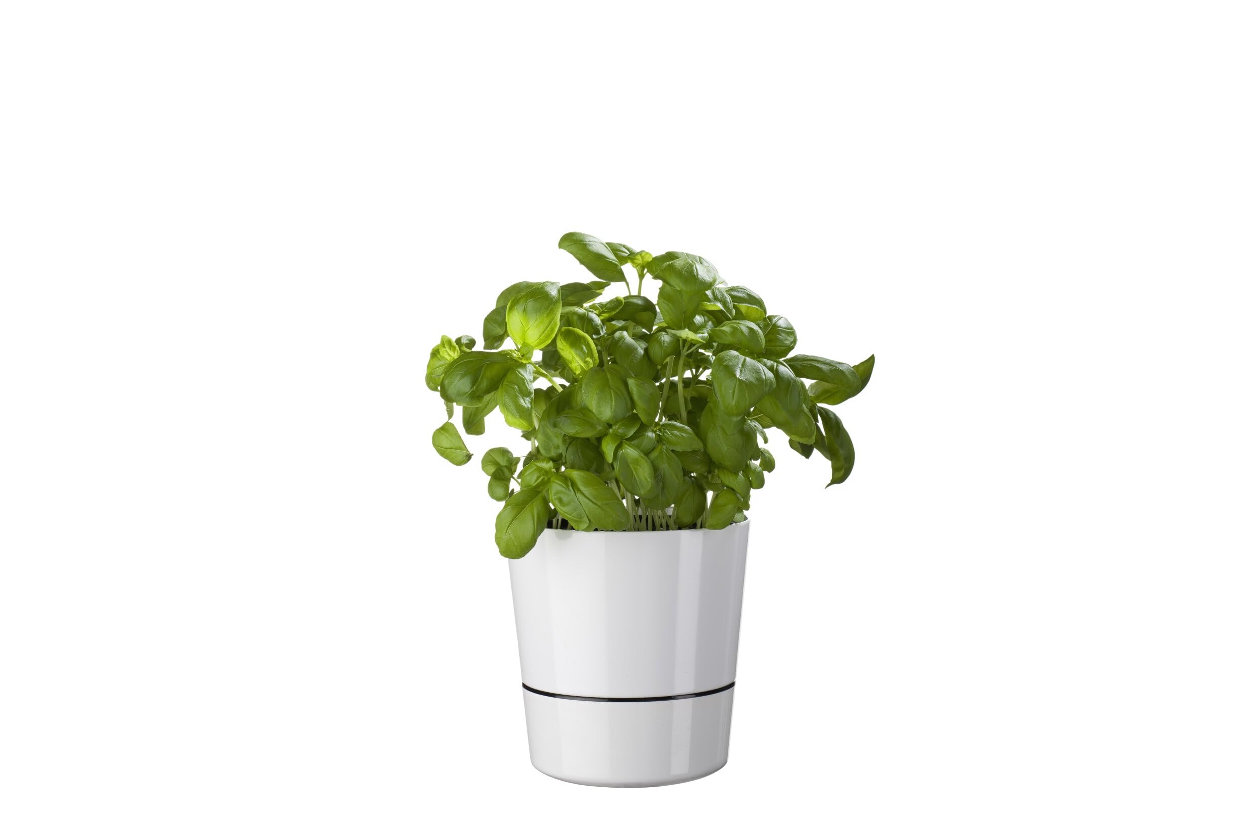 mepal-bocal-herbes-fra-ches-grand-avec-syst-me-hydro-nordic-grey image 5