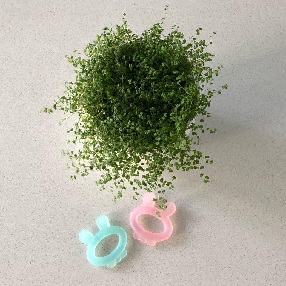 haakaa-anneau-de-dentition-en-silicone-oreilles-de-lapin image 4